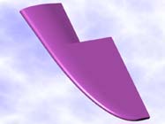Wing Model  (small)